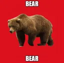 bearbear bearbear