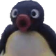 pingu_pog Discord emoji
