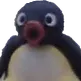 pingu_pog
