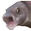 MaiC_Fishpog