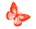 CD_ButterflyOrange Discord Emoji