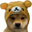 SCbear3
