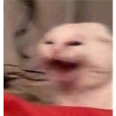 MS_Uh Discord emoji