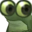 whatthefrog whatthefrog