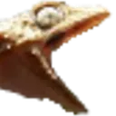 screm