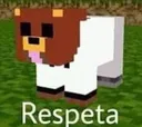 Respeta