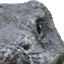 Komodo1_02