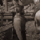 rdr2_badluck Discord emoji