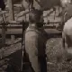 rdr2_badluck rdr2_badluck