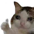 Sad Cat Thumbs Up sadcatthumbsup Discord Emoji