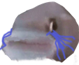 pogcry Discord emoji