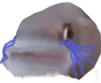 pogcry Discord Emoji
