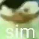 sim