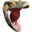 PogChamp PogChamp