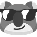 koalasunglasses