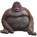 monke