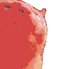 catJAMJAM catJAMJAM