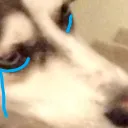 cry_grm_doggo cry_grm_doggo