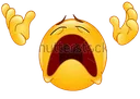 nooOOO nooOOO