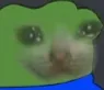 Sadpepe sadpepe Discord Emoji