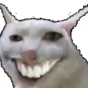 cat_lmao