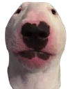 Walter