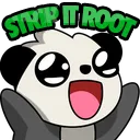 stripitroot stripitroot