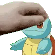 petthesquirtle