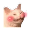 meow