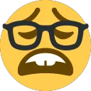wearynerd