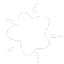 starwhite