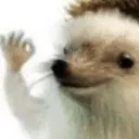 hahayes hahayes