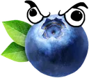 Blueberry