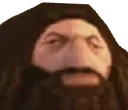 ps1_hagrid