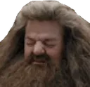 hagrid_cry
