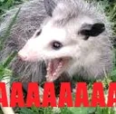 AAA