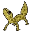 geckovibes