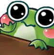 FrogBongo FrogBongo