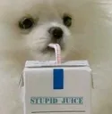 stupid_juice