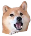ShibaBark