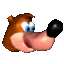 Banjo_Blinking