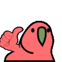 ThumbSupparrot