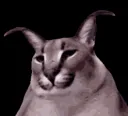 flop_dance flop_dance
