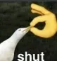 Shut