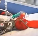 bodoquemuerto bodoquemuerto