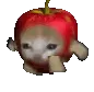 Rs_applerun