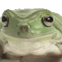 frognoppers