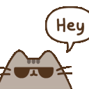 pusheenhey Discord emoji