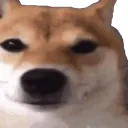 FR0GE_Bro