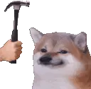 CFbonk